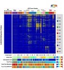 Fig S1(D). DNA methylation clustering of 12 Pan-Cancer tumor types