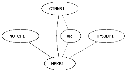 example network