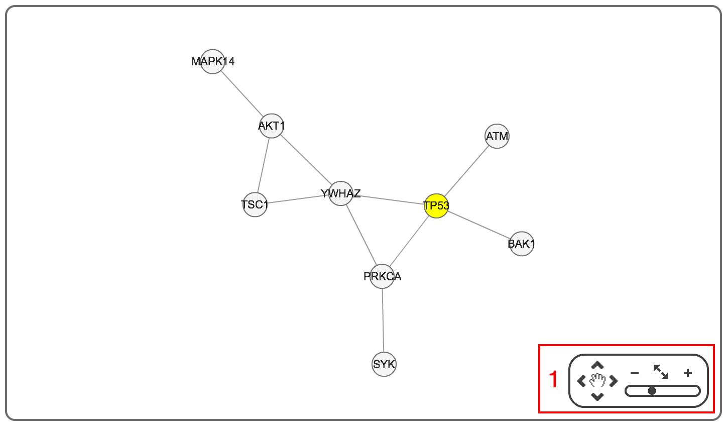 screenshot of network graph for a specific gene