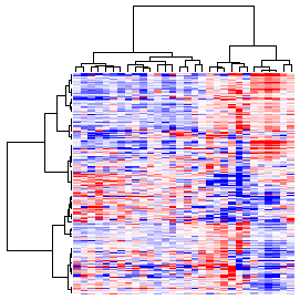 Next-Generation Clustered Heat Map thumbnail image.  Click to go to full-sized next-generation heat map tcga_rppa_chol_v2.0_protein_sample.