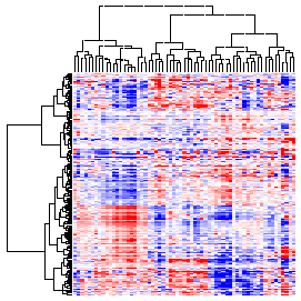 Next-Generation Clustered Heat Map thumbnail image.  Click to go to full-sized next-generation heat map tcga_rppa_kich_v2.0_protein_sample.