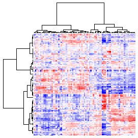 Next-Generation Clustered Heat Map thumbnail image.  Click to go to full-sized next-generation heat map tcga_rnaseqv2_acc_v2.0_gene_sample.