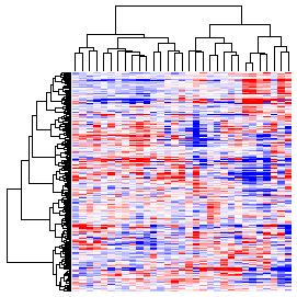 Next-Generation Clustered Heat Map thumbnail image.  Click to go to full-sized next-generation heat map tcga_rppa_coad_v2.0_protein_sample.