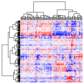 Next-Generation Clustered Heat Map thumbnail image.  Click to go to full-sized next-generation heat map tcga_rppa_thym_v2.0_protein_sample.
