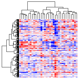 Next-Generation Clustered Heat Map thumbnail image.  Click to go to full-sized next-generation heat map tcga_rppa_dlbc_v2.0_protein_sample.
