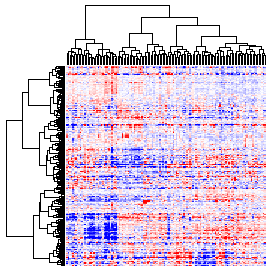 Next-Generation Clustered Heat Map thumbnail image.  Click to go to full-sized next-generation heat map tcga_rppa_lusc_v2.0_protein_sample.