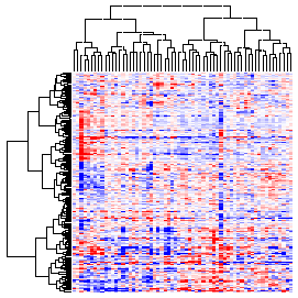 Next-Generation Clustered Heat Map thumbnail image.  Click to go to full-sized next-generation heat map tcga_rppa_meso_v2.0_protein_sample.
