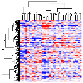 Next-Generation Clustered Heat Map thumbnail image.  Click to go to full-sized next-generation heat map tcga_rppa_ucec_v2.0_protein_sample.
