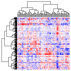 Next-Generation Clustered Heat Map thumbnail image.  Click to go to full-sized next-generation heat map tcga_rppa_pcpg_v2.0_protein_sample.