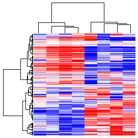 Next-Generation Clustered Heat Map thumbnail image.  Click to go to full-sized next-generation heat map tcga_rppa_kirp_v2.0_protein_sample.