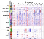 Fig S1(C). Copy number based clustering of 12 Pan-Cancer tumor types