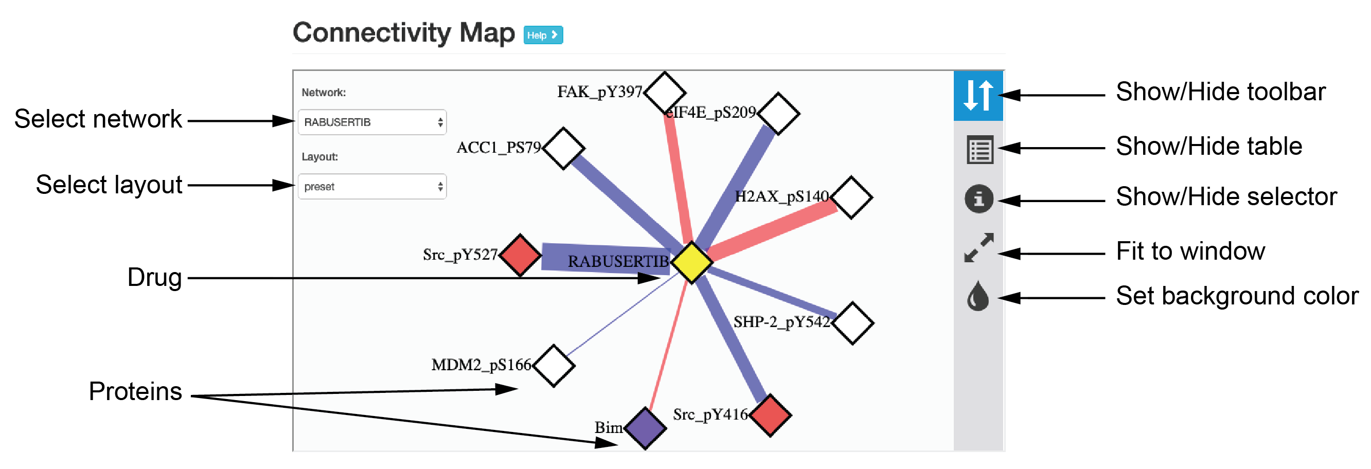 An example of connectivity map