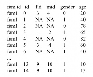 family information data example